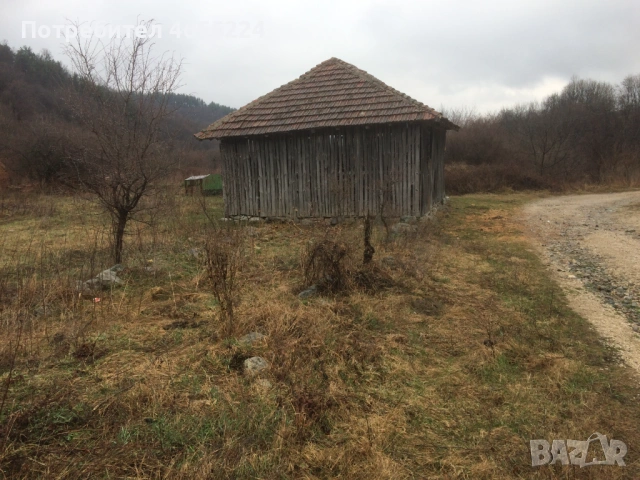 Кошара Чупрене