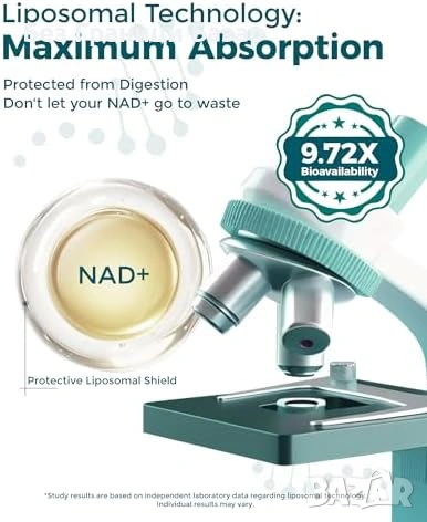 Нови добавки NAD Plus 1100 мг Ресвератрол 200 мг Подкрепа за Енергия и Концентрация, снимка 3 - Други - 54718687