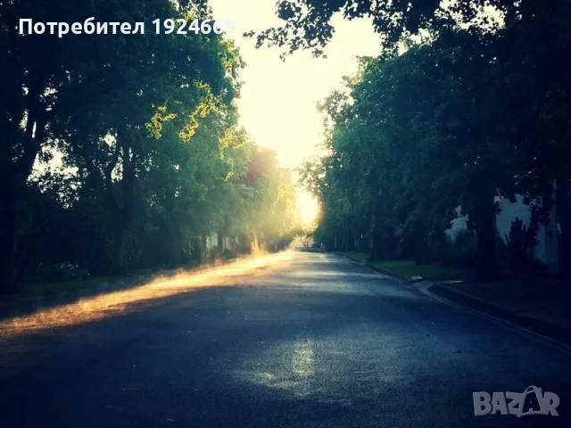 Гривна от телец с камък турмалин естествен 2Y7O, снимка 4 - Мъжки - 55445648