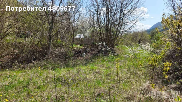 Парцел в село Паволче до Враца – 3 имота общо 1994 кв.м, снимка 8 - Парцели - 54330816