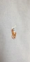 POLO Ralph Lauren  Cotton Mens Size 17 / 43 XL НОВО! ОРИГИНАЛ! Мъжка Риза!, снимка 3