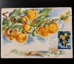 Карти-максимум, Италия, снимка 3