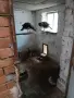 Продавам индийски пауни, снимка 5
