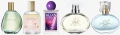 Oriflame /Орифлейм  - Divine,Love Potion, Giordani, Eclat, Infinita, Lucia, Amber Elixir Mystery, снимка 3