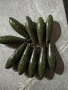 Шаранджийско олово, снимка 5