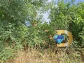Парцел в град Меричлери, снимка 6