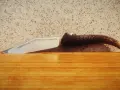 Габровски сойки от колекция Нови!, снимка 9
