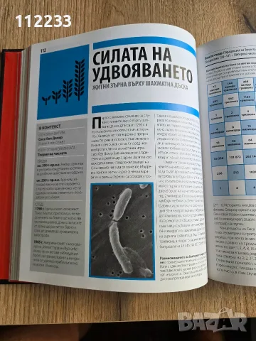 Книгата за математиката - Големите идеи, обяснени просто, снимка 11 - Специализирана литература - 55644211