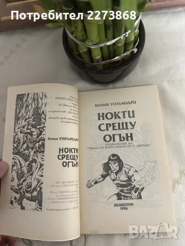 Редки Книги-игри от старата вълна, снимка 11 - Колекции - 55396276