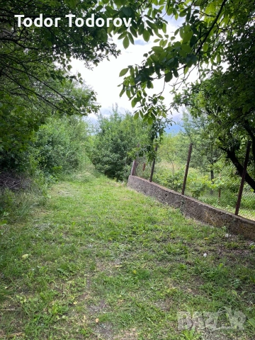 Продава Парцел, с.Дивотино, област Перник, снимка 3 - Парцели - 55012046