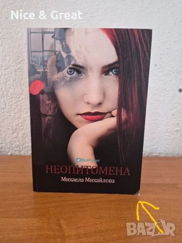 Унищожителят на меча и други , снимка 10 - Художествена литература - 50530266