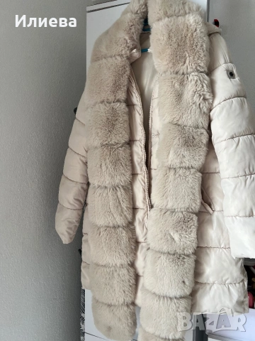 Дамски якета