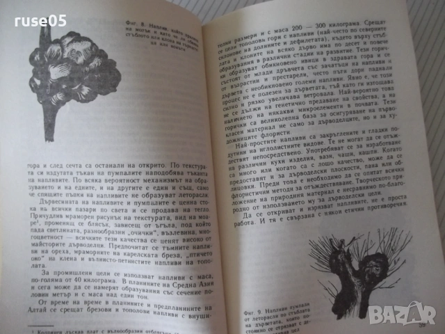 Книга "Гората и художникът - Евгений Курдаков" - 212 стр, снимка 4 - Специализирана литература - 54932915
