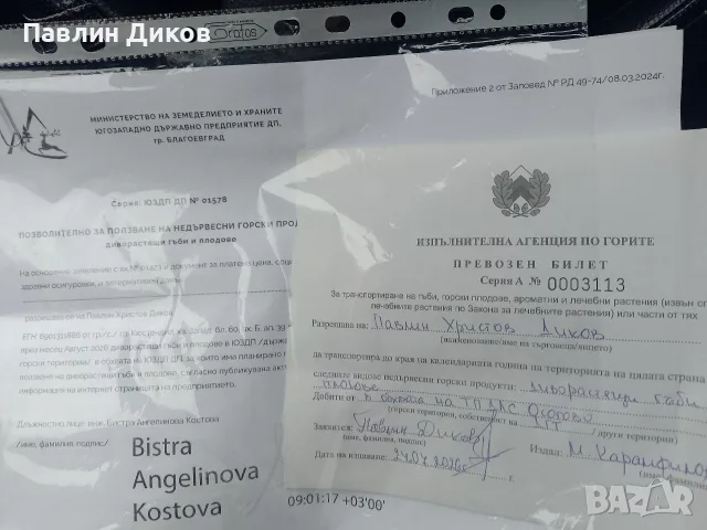 Боровинки от Осоговски балкан  Кюстендил , снимка 2 - Хранителни добавки - 55409400