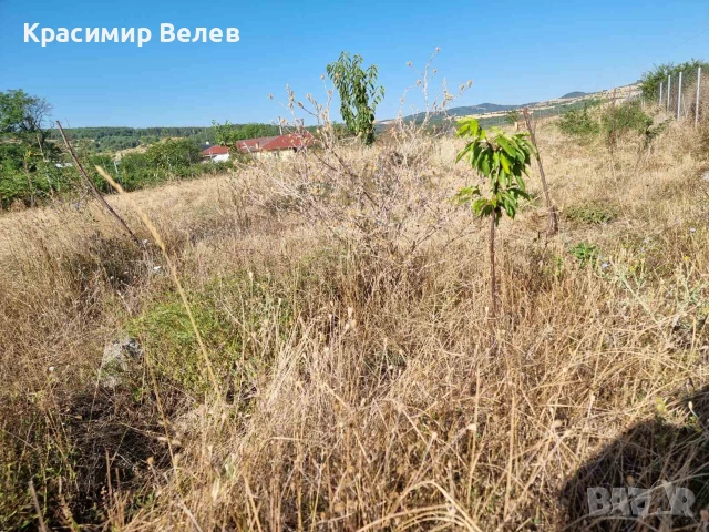 ПИ гр.Банкя с право на строеж, снимка 5 - Парцели - 55195351
