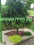 !!!ТОП ОФЕРТА!!!Продавам Обзаведена Двуетажна Къща в гр. Хасково кв."Изгрев"!!!, снимка 12