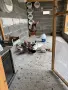 Пазарджишки високо летци, снимка 5