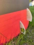 Kite Flysurfer 12кв.м + Landboard Scrub + Kitesurf F2 , снимка 9