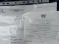 Боровинки от Осоговски балкан  Кюстендил , снимка 2