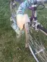 Шосеен велосипед Pinarello Asolo, снимка 8