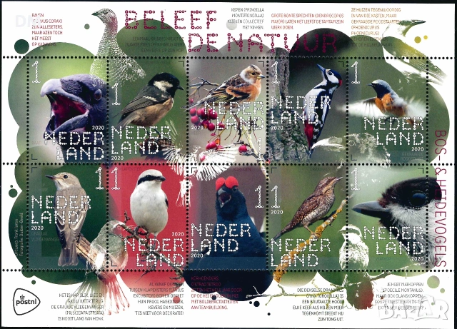 Нидерландия 2020 - птици 2 MNH