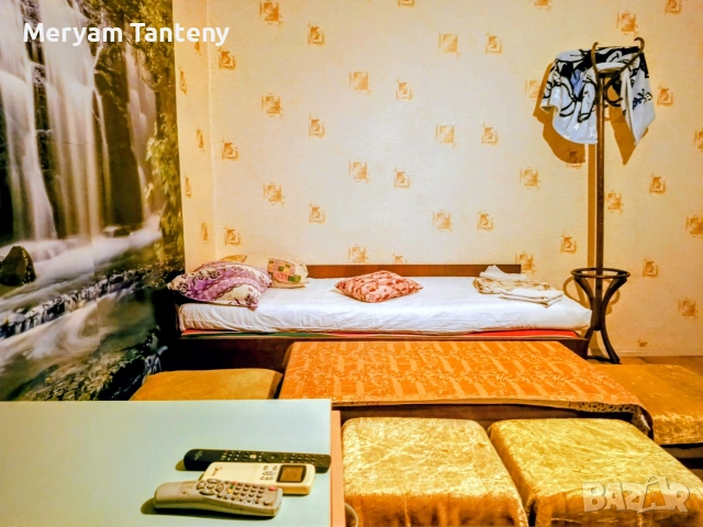 Стая под наем в Димитровград , снимка 2 - Стаи под наем - 55217502