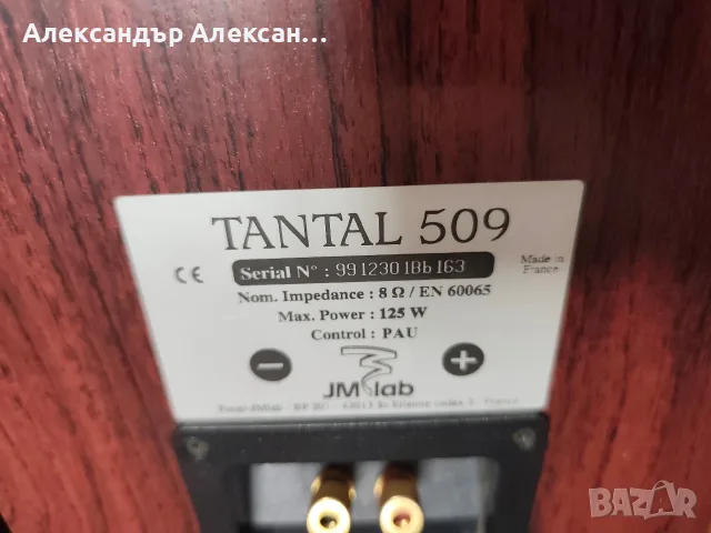 Focal Tandal 509, снимка 3 - Тонколони - 55295782