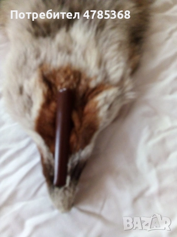 НОВИ палта Лиси косъм+Астраганено+Лиси яки с щипка, снимка 8 - Палта, манта - 54113929