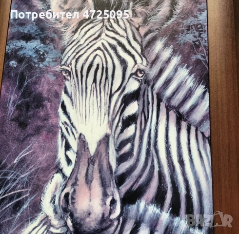 Принт в дървена рамка, снимка 3 - Картини - 54045552