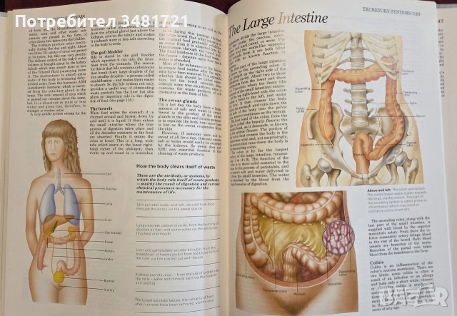 Атлас по анатомия / Atlas of Anatomy, снимка 9 - Специализирана литература - 55064882