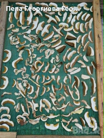 Сушена манатарка, снимка 4 - Домашни продукти - 52561486