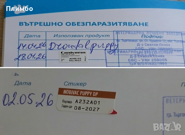 кученца за трюфели, снимка 5 - Други - 54413404