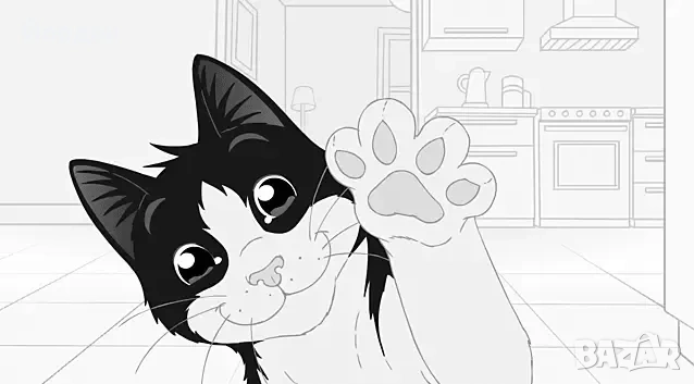 хубави котенца за апартамент