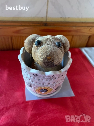 Чичко тревичко