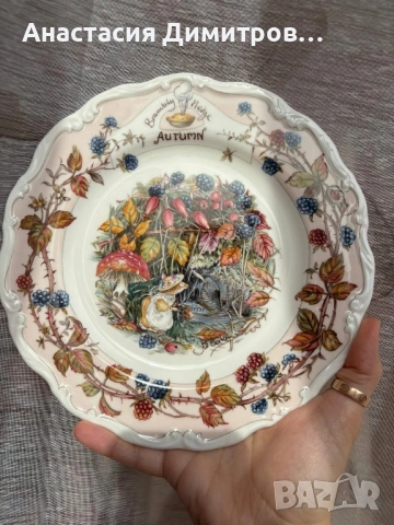 Brambly hedge