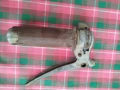 стари части , снимка 3