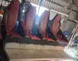 🔥 Amusement Ride Platforms for Sale – Warehouse Clearance!, снимка 3