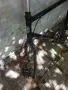 Колело ктм  ktm , снимка 1