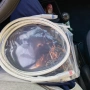 Audiocrast IC102Ag, снимка 1