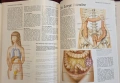 Атлас по анатомия / Atlas of Anatomy, снимка 9