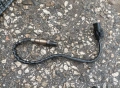Ламбда сонда Mercedes Мерцедес 0035427018, снимка 1