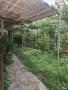Работещ магазин + обзаведена къща – готов дом и бизнес в с. Добрина, снимка 4