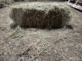 Продавам малки бали сено , снимка 3