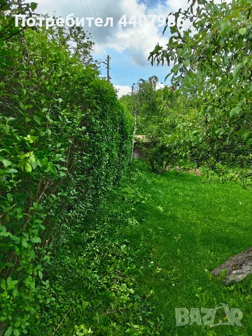 косене, кастрене, поддръжка , снимка 4 - Други почистващи услуги - 55352303
