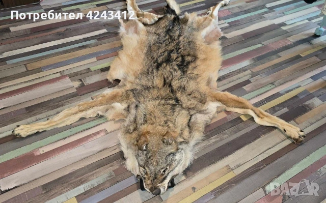 Кожа от вълк килимче