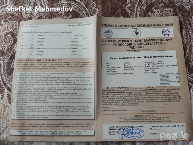 prodavam belgiska ovcarka, снимка 5 - Белгийска овчарка - 54911234