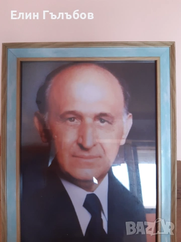 Портрет на Тодор Живков, 25/35 см. в дървена рамка, снимка 3 - Антикварни и старинни предмети - 54157865