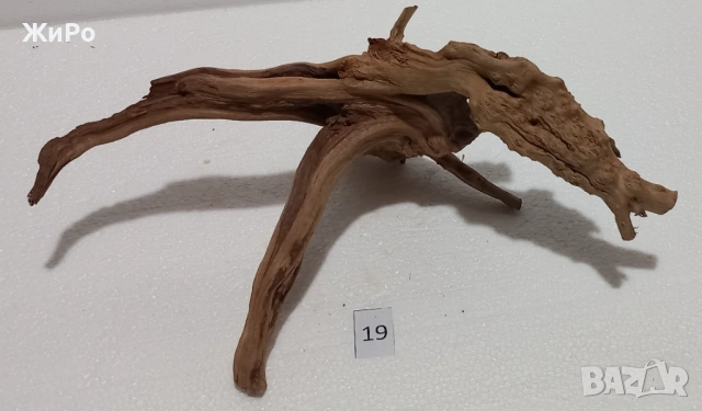 Корен от Азалия /декорация/ 19, снимка 4 - Други - 54093373