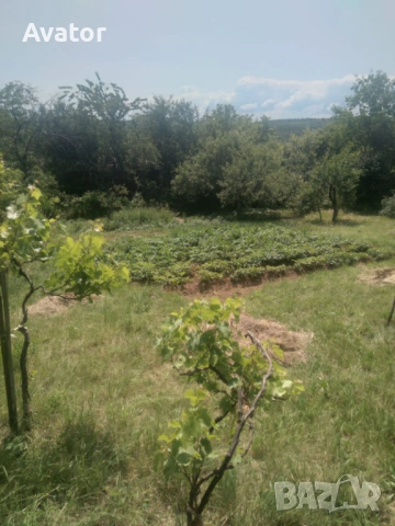 Продавам Стара автентична къща, снимка 3 - Къщи - 54009902