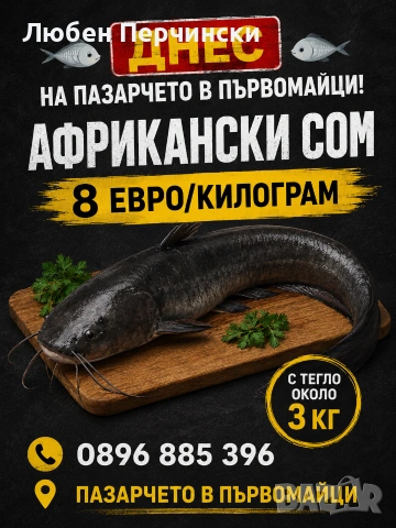 Продавам африкански сом 